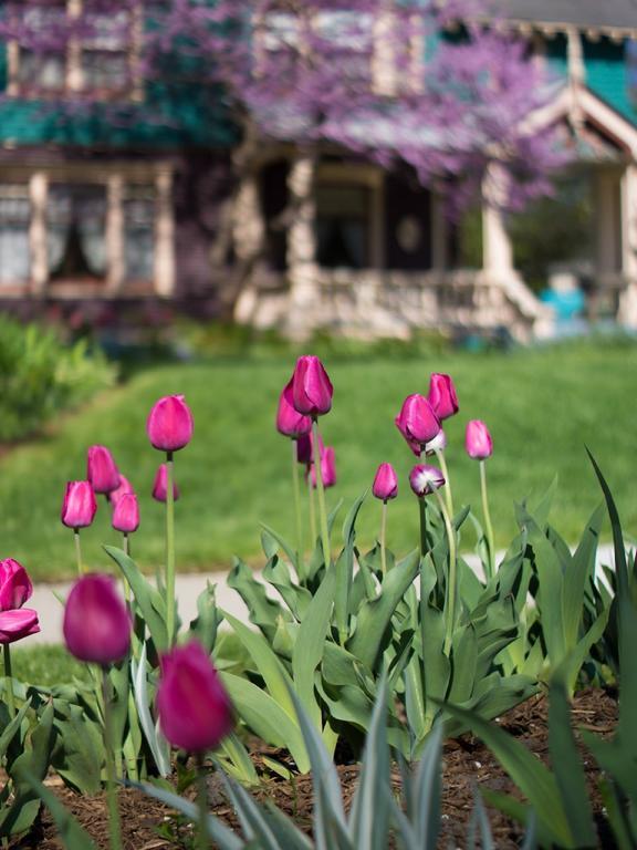 The Murphy House Bed & Breakfast Pontiac Ngoại thất bức ảnh